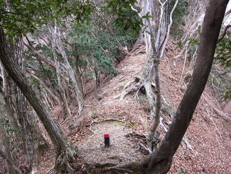 20200204hike (226)